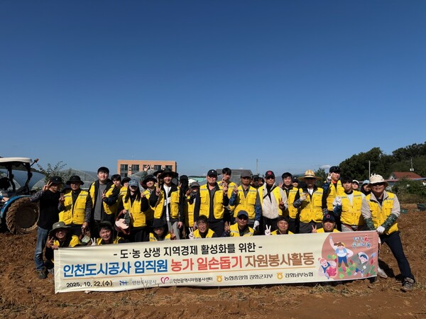 인천도시공사가 22일 강화군 농가의 가을 수확철 일손 부족 문제 해결에 동참하며 도농상생 실천에 나섰다. (사진제공=)