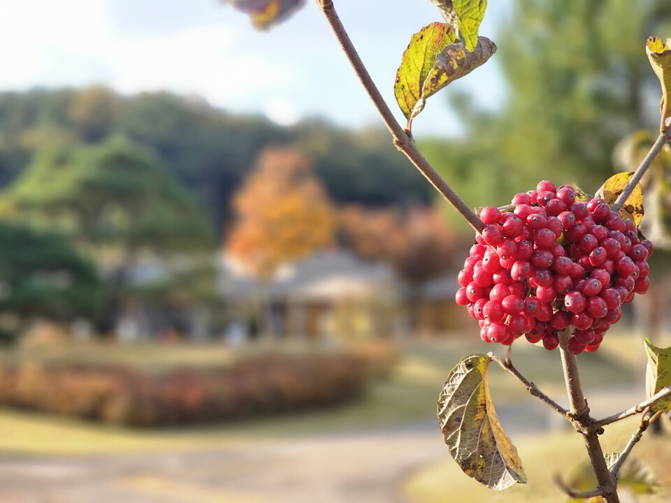 수도권(경기, 인천 등)은 내일(5일) 대체로 맑다가 저녁부터 가끔 구름이 많겠다. 경기내륙을 중심으로 새벽부터 짙은 안개가 끼겠고, 낮과 밤의 기온차가 10~15℃로 크게 벌어지겠다. 일부 내륙에서는 서리가 내리거나 얼음이 어는 곳도 있겠다. (사진=중앙신문DB)