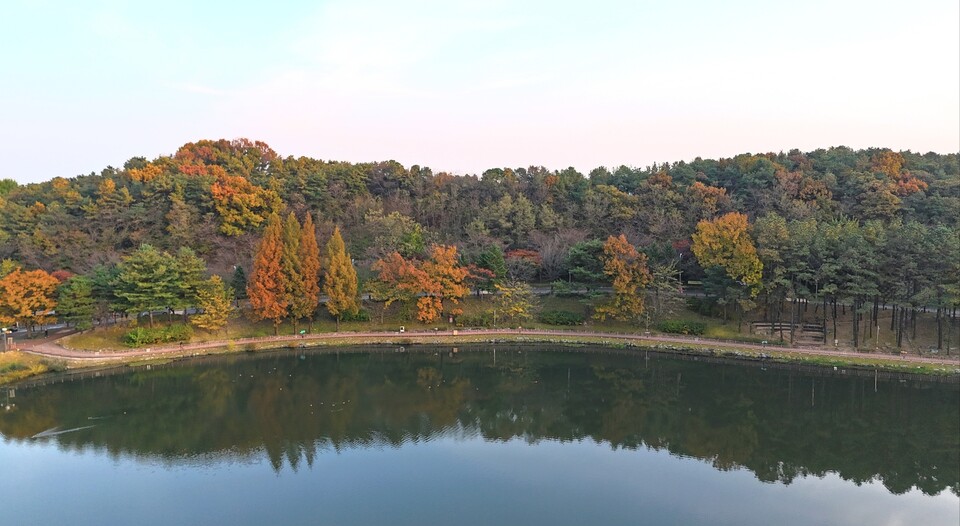 절기상 입동인 7​​​​​​일 금요일 수도권(경기·인천 등) 지역은 구름이 많겠고, 오전까지 경기남부내륙을 중심으로 짙은 안개가 끼는 곳이 있겠다. (사진=중앙신문 DB)