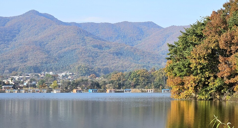 절기상 입동(立冬)을 하루 앞둔 6일 오후 3시10분께 용인시 용담호수 주변이 온통 가을색으로 갈아입었다. (사진=허찬회 기자)