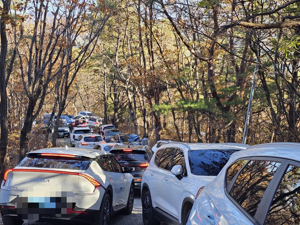 10일 오후 2시58분께 남양주 운길산 수종사로 향하는 산길이 차량 행렬로 빽빽하게 막혀 움직이지 못하고 있다. (사진=이건구 기자)