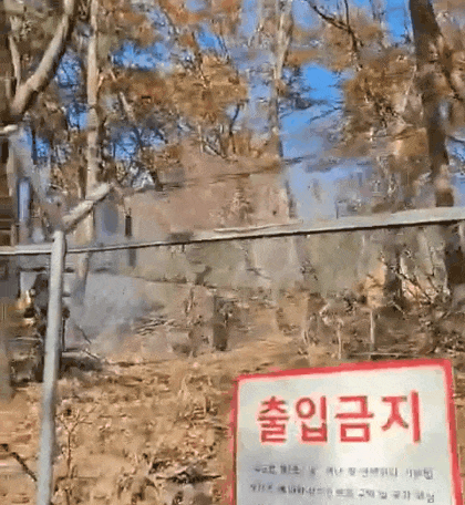 수원시 장안구 파장정수장 인근에서 산불이 발생해 산림 약 500㎡가 불에 탔고 1명이 경상을 입었다. (영상제공=경기도소방재난본부)