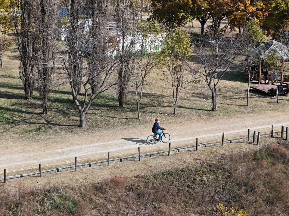 11일 오후 1시36분께 황금빛으로 물든 은행나무들이 마지막 잎을 떨구며 길게 드리운 그림자와 함께 가을 계절의 끝자락을 알리고 있다. (사진=김광섭 기자)
