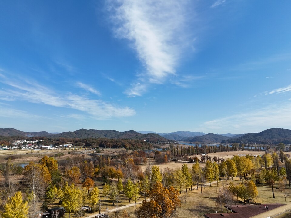 11일 오후 1시36분께 황금빛으로 물든 은행나무들이 마지막 잎을 떨구며 길게 드리운 그림자와 함께 가을 계절의 끝자락을 알리고 있다. (사진=김광섭 기자)