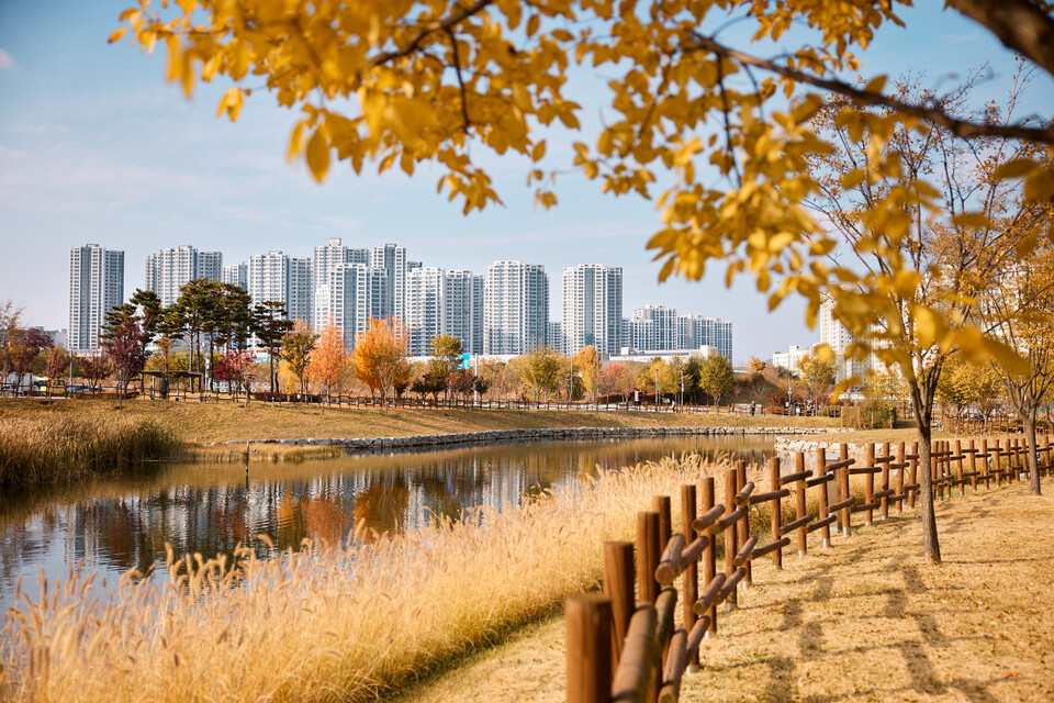 12일 오전 양주시 옥정동 옥정신도시의 옥정호수공원이 가을의 끝자락을 물들이고 있다. (사진제공=양주시)