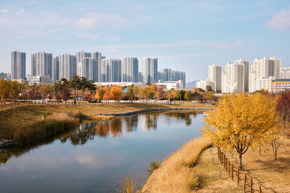 12일 오전 양주시 옥정동 옥정신도시의 옥정호수공원이 가을의 끝자락을 물들이고 있다. (사진제공=양주시)