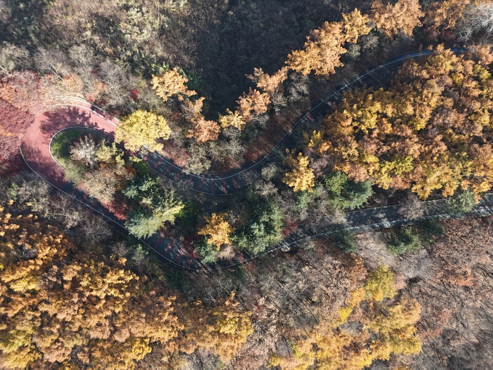 14일 금요일 수도권(인천·경기 등) 지역은 새벽부터 오전 사이 경기내륙을 중심으로 짙은 안개가 끼겠다. 일부 지역은 아침 기온이 영하권으로 떨어지며 다소 춥겠고, 낮에는 대체로 맑아 12~15℃까지 오르며 일교차가 15℃ 안팎으로 크게 벌어질 전망이다. 사진은 13일 오후 가평군 호명호수길.  (사진=이건구 기자)
