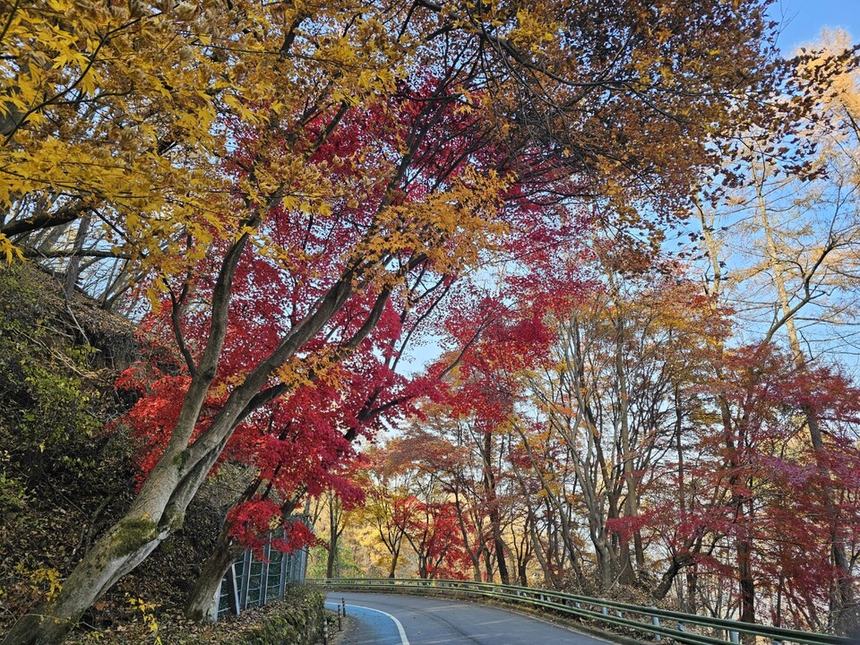 15일 토요일 수도권(경기·인천 등) 지역은 대체로 맑겠으며, 경기남동부를 중심으로 짙은 안개가 끼는 곳이 있겠다. (사진=중앙신문 DB)