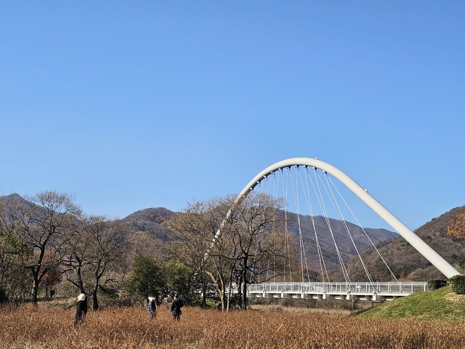 18일 오전 11시32분께 남양주시 북한강변 물의정원이 초겨울 문턱을 두드리고 있다. (사진=이건구 기자)