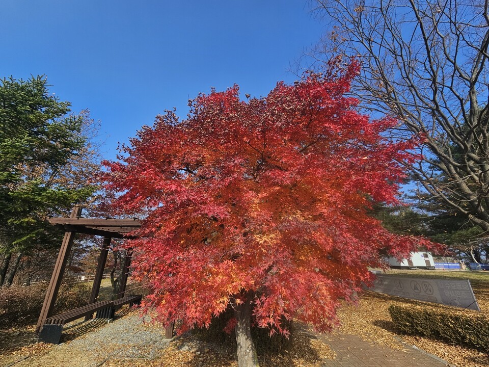 21일 금요일 수도권(경기·인천 등) 지역은 대기가 건조하겠고, 가끔 구름이 많은 날씨를 보이겠다. (사진=중앙신문 DB)