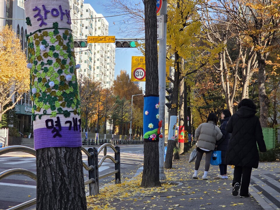 21일 오후 1시20분께 광명시 하안동 ‘하담길 예술의 거리’의 가로수마다 알록달록한 뜨개옷이 둘러져 시민들의 눈길을 끌고 있다. (사진=순정우 기자)
