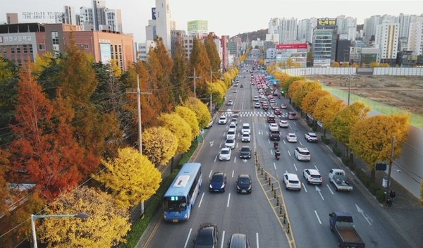 미추홀구, ‘인천시 특색 가로수길 평가’최우수기관 선정 (미추홀구 제공)