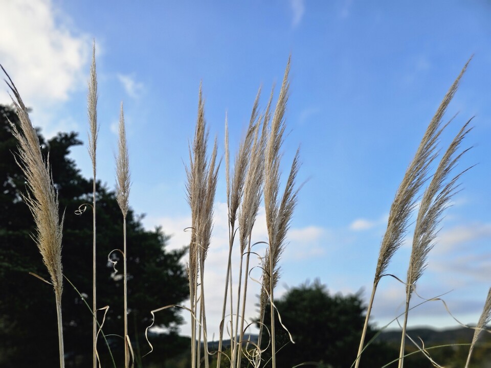 28일 금요일 수도권(경기·인천 등) 지역은 기온이 낮아 쌀쌀하겠고, 대체로 맑은 날씨가 이어지겠다. (사진=중앙신문 DB)