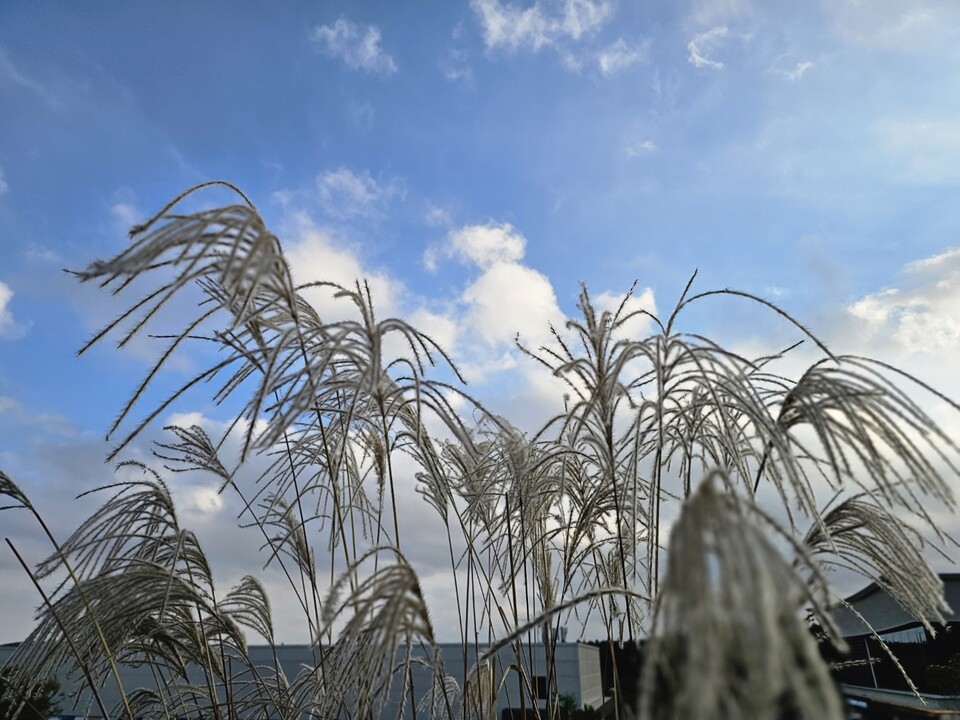 2일 화요일 수도권(경기·인천 등) 지역은 기온이 떨어져 춥겠고, 종일 구름이 많겠다. (사진=중앙신문 DB)