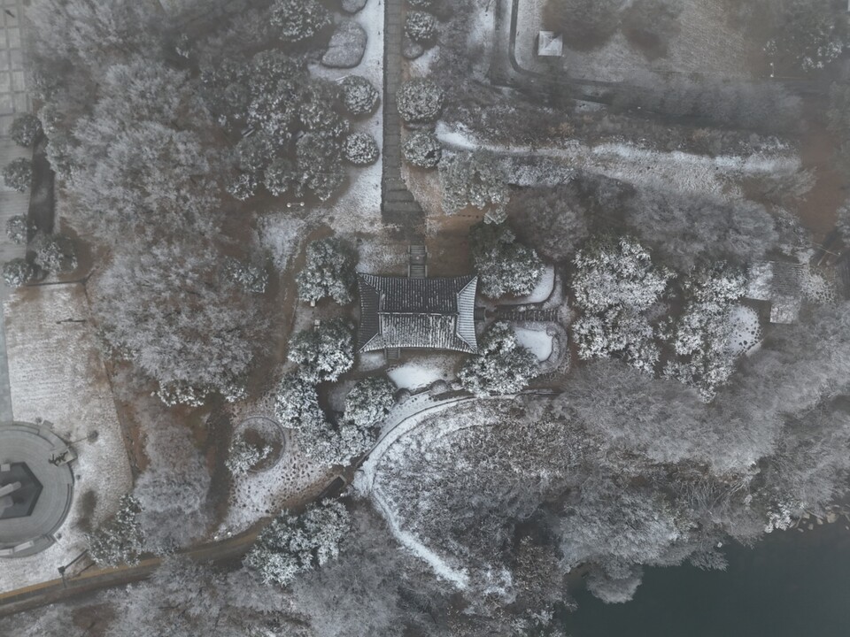 15일 오전 10시30분께 안개가 가장 짙어지자 남한강에서 올라온 수증기가 영하의 찬 공기와 만나며 영월루 일대 강변 나무마다 상고대를 만들어 냈다. (사진=김광섭 기자)