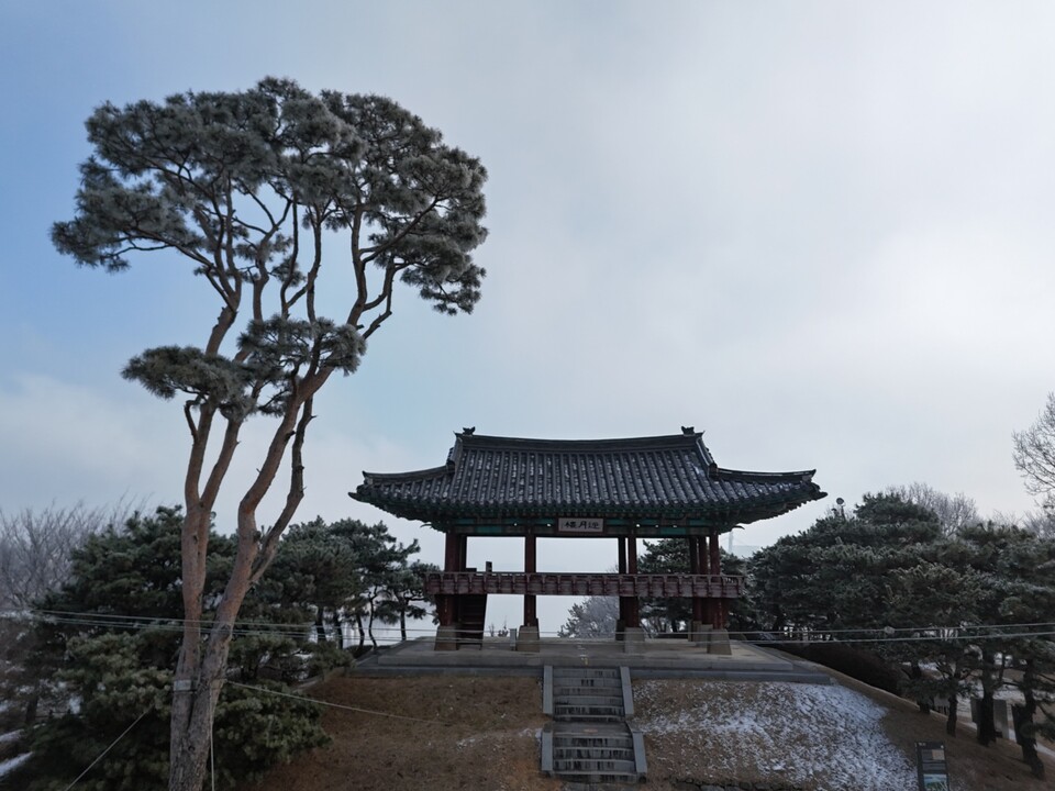 15일 오전 10시30분께 안개가 가장 짙어지자 남한강에서 올라온 수증기가 영하의 찬 공기와 만나며 영월루 일대 강변 나무마다 상고대를 만들어 냈다. (사진=김광섭 기자)