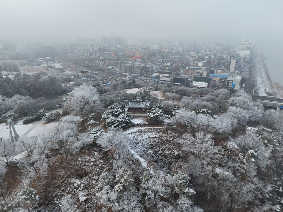 15일 오전 10시30분께 안개가 가장 짙어지자 남한강에서 올라온 수증기가 영하의 찬 공기와 만나며 영월루 일대 강변 나무마다 상고대를 만들어 냈다. (사진=김광섭 기자)