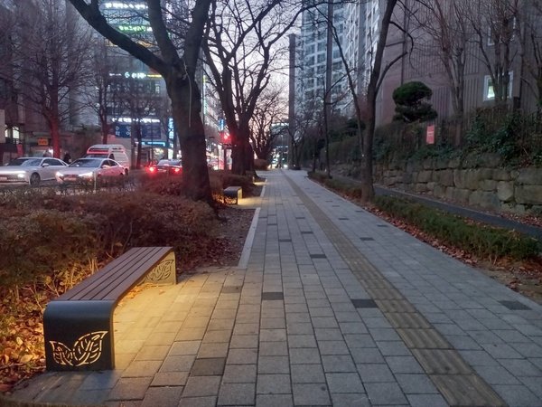 남동구, 구월남로 벚꽃길 새 단장…일상 속 쉼터로 탈바꿈 (남동구 제공)