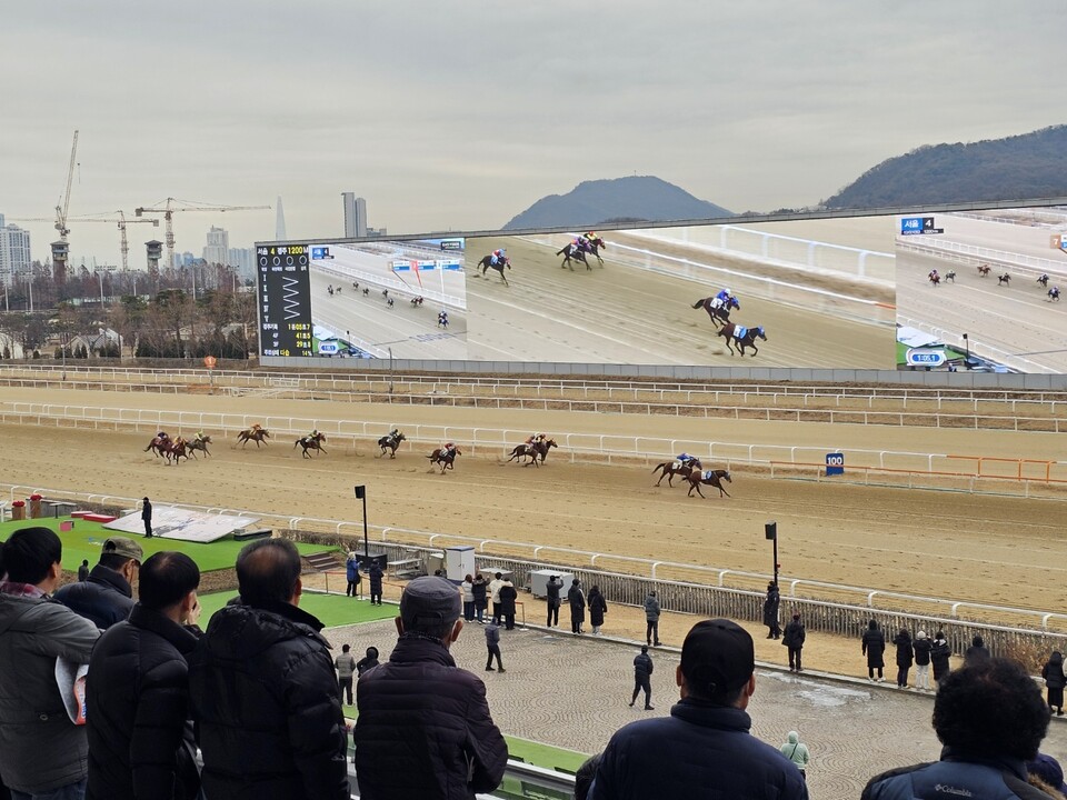 주말인 27일 낮 12시46분께 과천 렛츠런파크를 찾은 시민들이 경마 경기를 지켜보며 주말의 한때를 보내고 있다. (사진=김상현 기자)