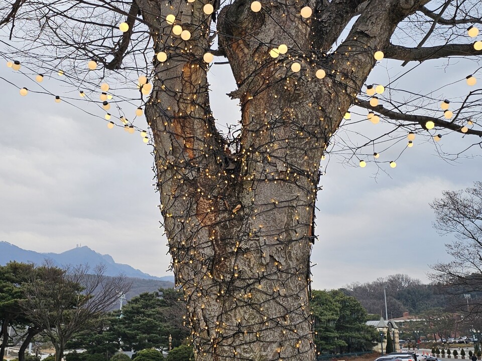 28일 일요일 수도권(인천, 경기 등) 지역은 오전에 곳에 따라 빗방울이 떨어지거나 눈이 날리면서 대체로 흐리겠다. (사진=중앙신문 DB)