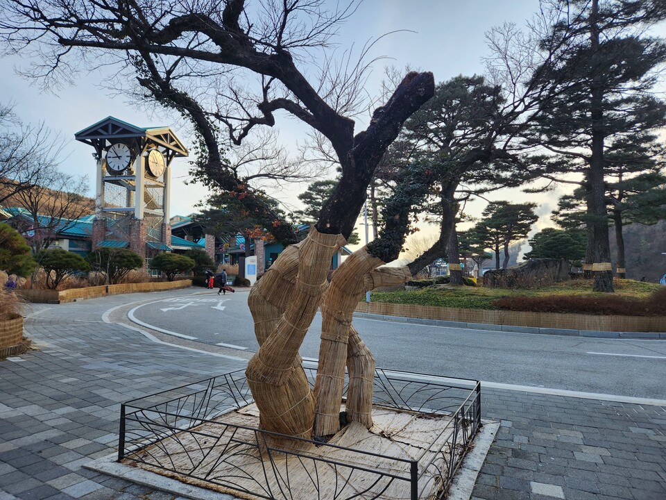 2일 금요일 수도권(인천, 경기 등) 지역은 대체로 맑은 가운데 한파가 절정에 달해 종일 매우 춥겠고, 경기남서부에는 가끔 구름이 많겠다. (사진=중앙신문 DB)