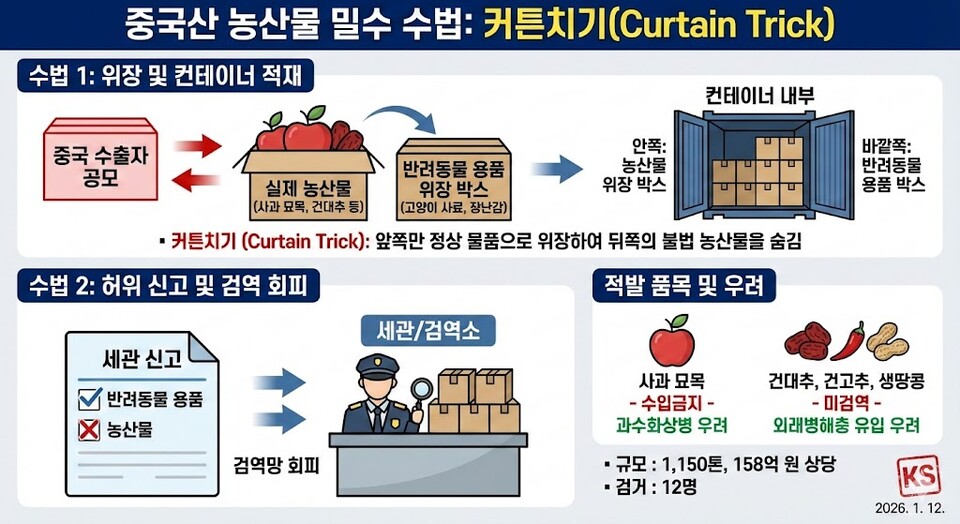 농림축산검역본부가 검역을 받지 않거나 수입이 금지된 중국산 농산물을 대량으로 불법 반입한 일당을 적발했다. 적발 물량은 총 1150톤으로, 검역본부가 적발한 불법 농산물 가운데 역대 최대 규모다. (인포그래픽=권용국 기자)