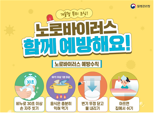 노로바이러스 감염증 환자가 최근 5년 내 최고 수준으로 증가하면서 영유아 연령층의 감염 비중도 크게 높아진 것으로 나타나 영유아와 어린이집 등 관련 시설을 중심으로 개인위생 수칙 준수가 요구된다. (사진제공=질병청)