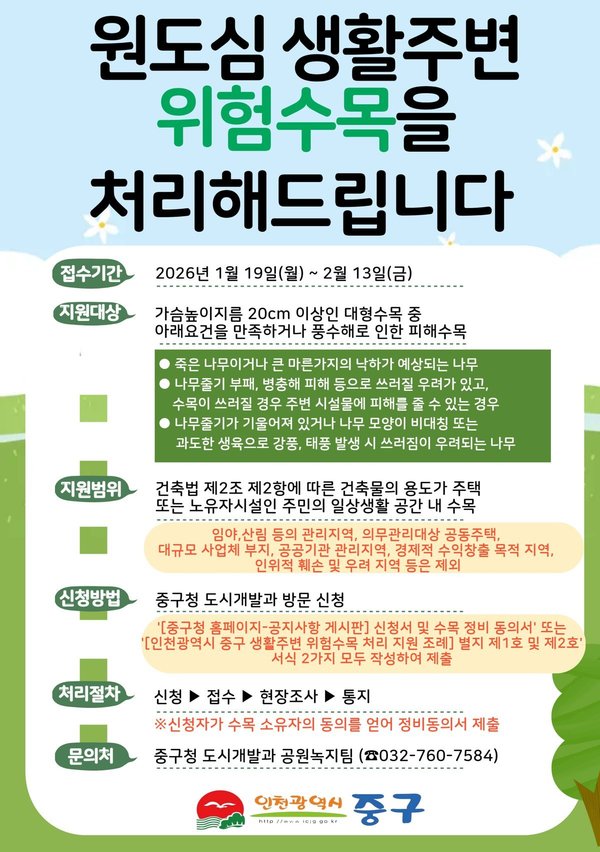 인천 중구, 원도심 '위험 수목'처리로 더 안전한 생활 환경 만든다 (인천중구 제공)