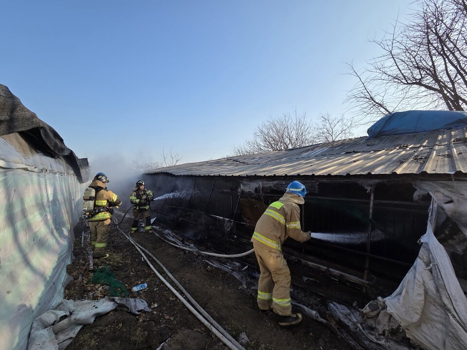 27일 오전 9시16분께 여주시 가남읍의 한 돈사에서 불이 나 소방당국에 의해 약 37분 만에 진화됐다. 인명피해는 발생하지 않았다. (사진제공=경기도소방재난본부)