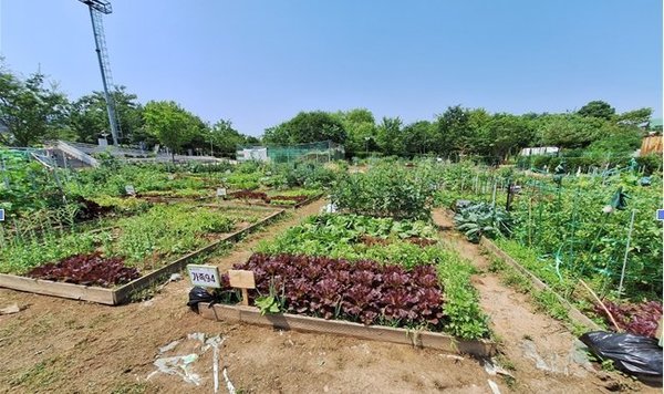 생활 속 친환경 도시농업 (부평구 제공)