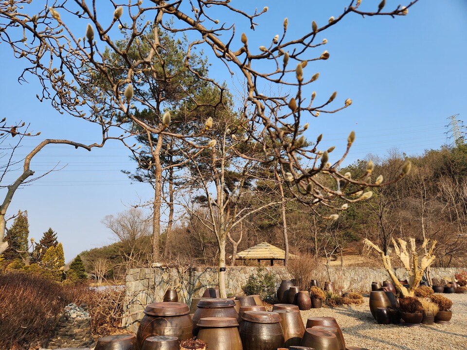 21일 토요일 수도권(인천, 경기 등) 지역은 가끔 구름이 많은 가운데 낮과 밤의 기온차가 크게 벌어지겠다. (사진=중앙신문 DB)