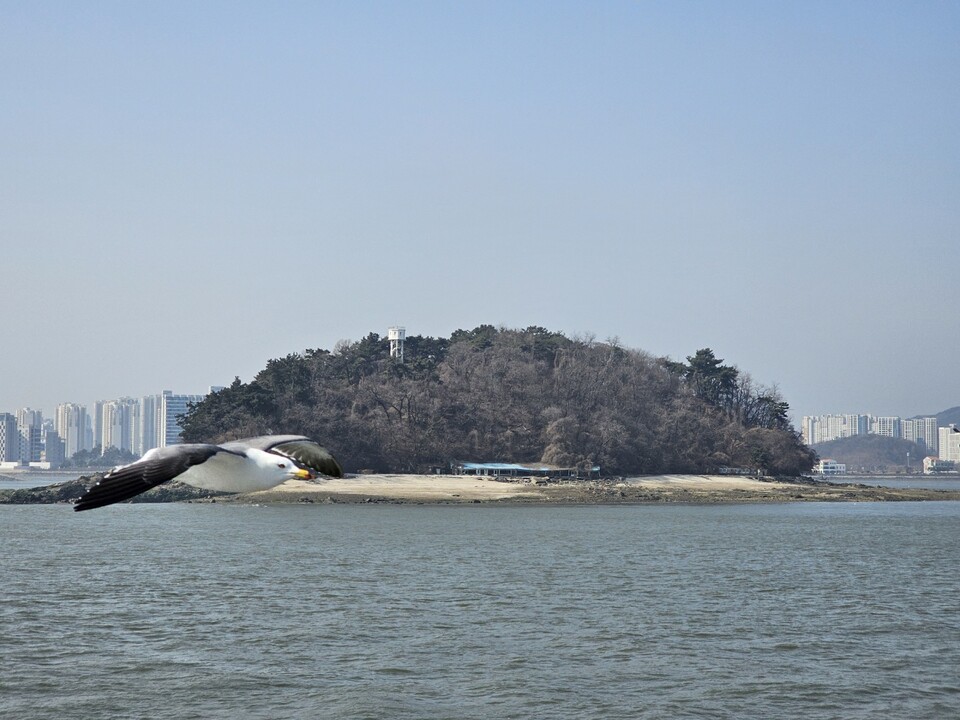 작약도. (사진=남용우 선임기자)