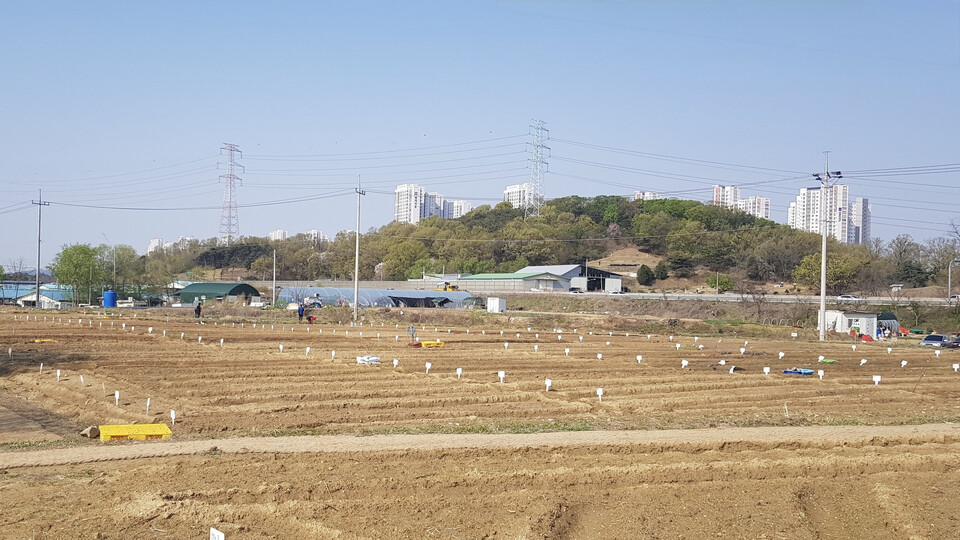 남양주시가 시민의 정서적 안정과 공동체 문화 확산을 위해 ‘2026년 남양주시 정약용 도시텃밭’ 분양을 시작한다고 24일 밝혔다. (사진제공=남양주시)