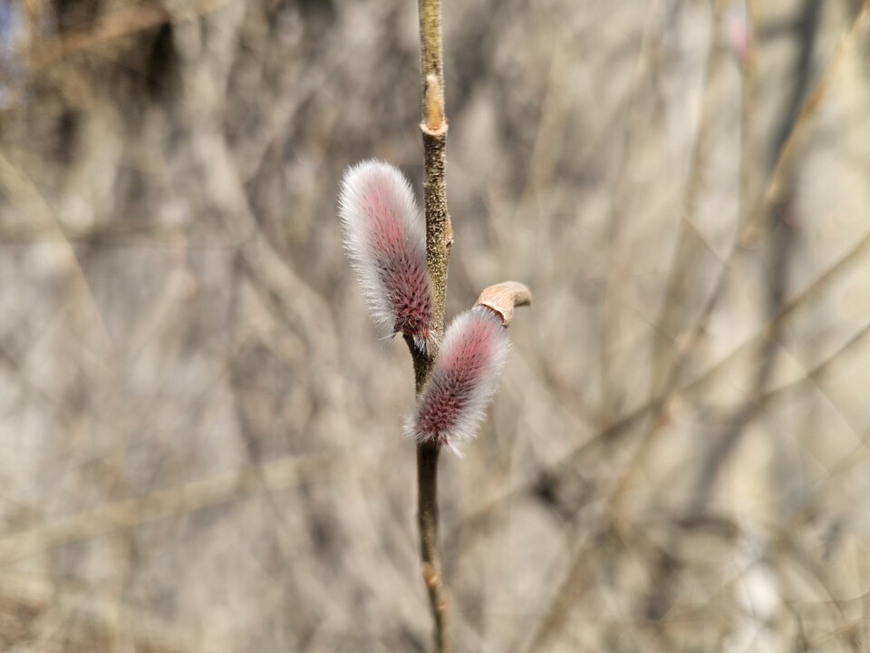 설 연휴 마지막 날인 18일 수요일 수도권(인천, 경기 등) 지역은 고기압의 영향으로 대체로 맑은 날씨를 보이겠다. (사진=중앙신문 DB)