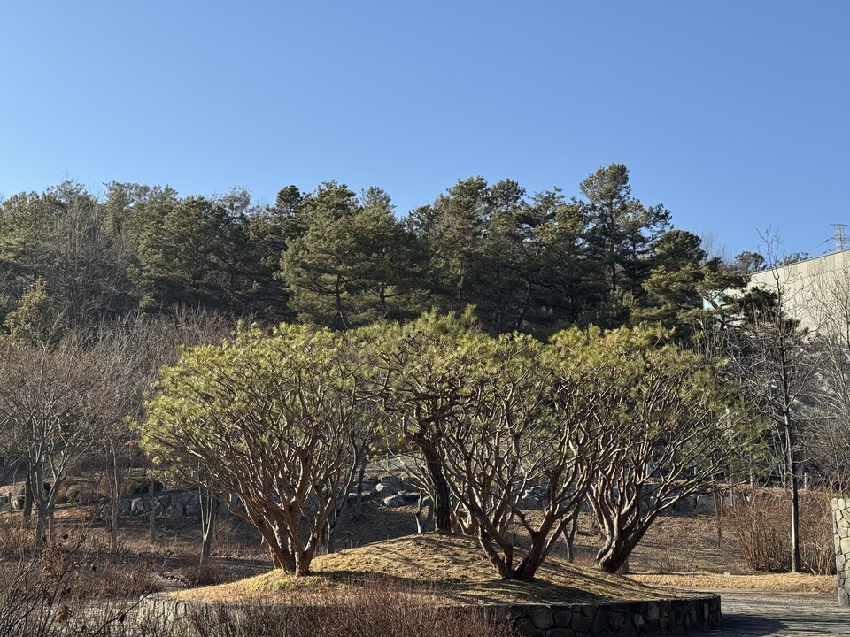 28일 토요일 수도권(인천, 경기 등) 지역은 대기가 매우 건조한 가운데 대체로 맑은 날씨를 보이겠다. 낮과 밤의 기온차가 크게 벌어지겠다. (사진=중앙신문 DB)