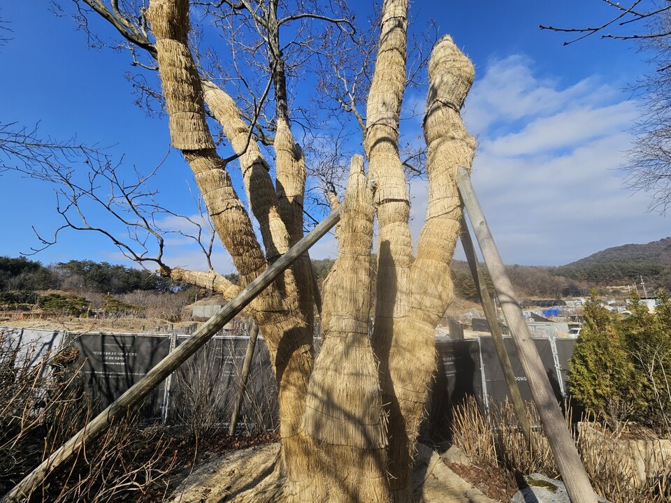 내일(8일) 서울·인천·경기도는 대체로 맑겠으나, 북서쪽에서 찬 공기가 내려오면서 아침 기온이 영하 10도 안팎까지 떨어져 춥겠다. 바람도 불어 체감온도는 실제 기온보다 더 낮겠다. (사진=중앙신문DB)