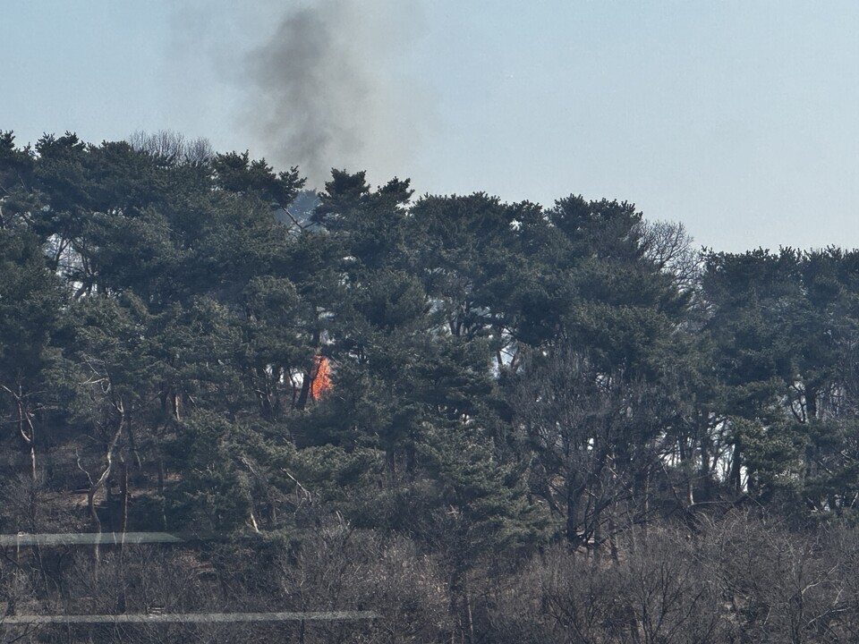 12일 오전 11시10분께 수원시 팔달구 팔달공원 일대에서 난 불이 약 1시간22분 만에 꺼졌다. (사진제공=경기도소방재난본부)