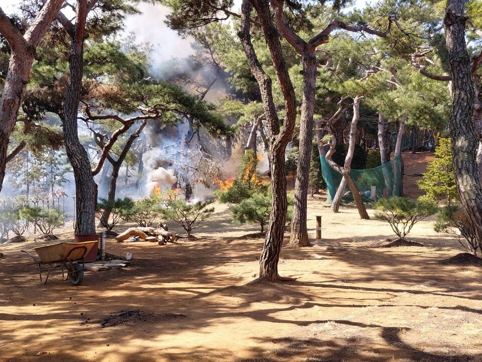 13일 오후 1시23분께 화성시 장안면 사랑리 야산에서 불이 나 90대 남성 1명이 화상을 입었다. (사진제공=경기도소방재난본부)