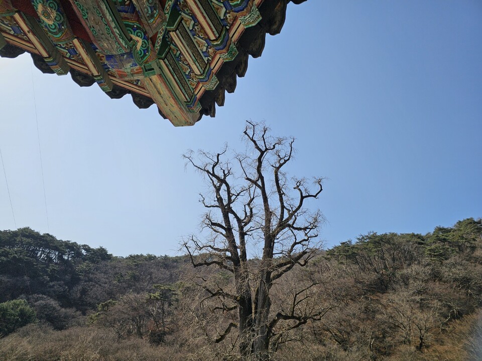 14일 토요일 수도권(인천, 경기 등) 지역은 대체로 흐린 가운데 낮과 밤의 기온차가 크게 벌어지겠다. (사진=중앙신문 DB)