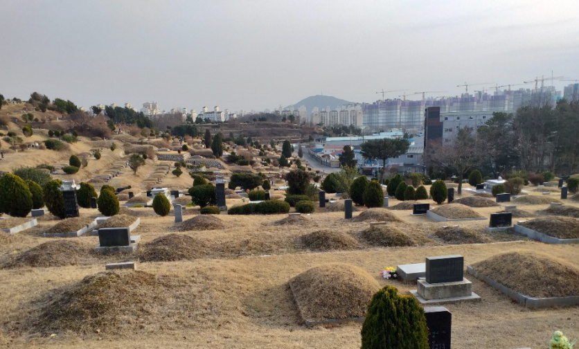 토지소유권 분쟁이 종결된 김포공원묘지에서 바라 본 인천 검단신도시 전경. (사진=권용국 기자)