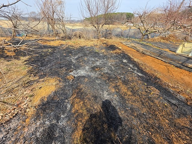24일 오전 11시53분께 김포시 하성면 시암리 한 야외 밭에서 들불 화재가 발생해 70대 1명이 화상을 입었다. (사진제공=경기도북부소방재난본부)