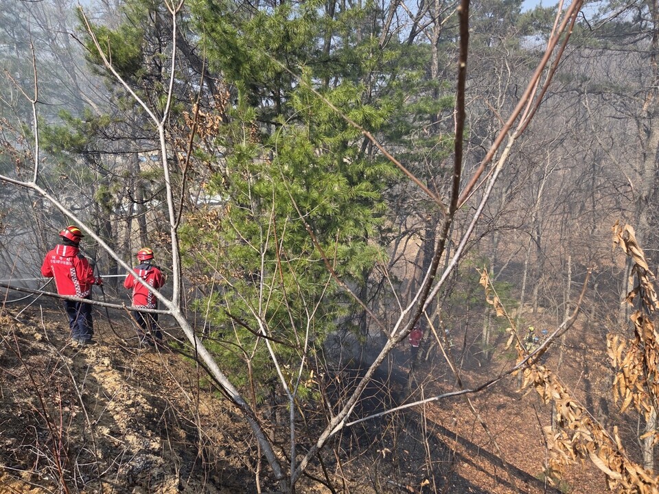 건조특보가 발효된 가운데 수도권 곳곳에서 산불이 잇따라 발생하고 있어 각별한 주의가 요구된다. 사진은 전날 발생한 여주시 강천면 걸은리 산불 화재 모습. (사진제공=경기도소방재난본부)