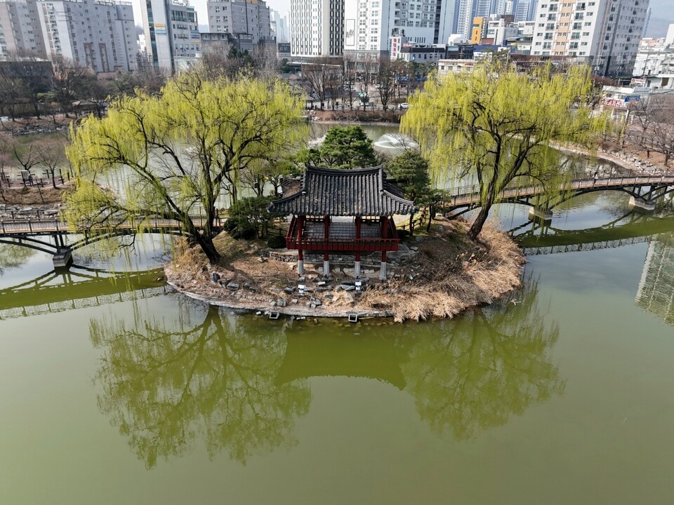 26일 오전 10시20분께 이천시 애련정. 연못 한가운데 자리한 정자를 중심으로 수양버들 두 그루가 연둣빛 새순을 틔우며 봄기운을 더하고 있다. (사진=김광섭 기자)
