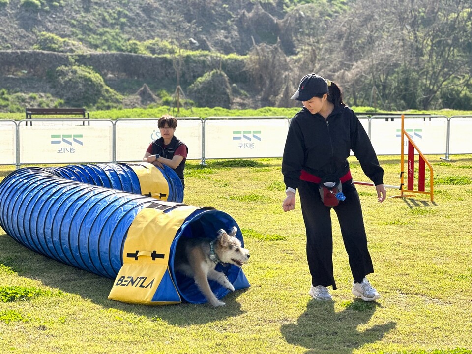 경기도가 오는 4월부터 화성시에 위치한 ‘반려마루 화성’에서 반려동물과 함께하는 교감 활동 프로그램을 확대 운영한다. 대상은 유아동부터 청소년, 취약계층, 반려인과 비반려인까지 폭넓게 포함됐다. 사진은 교육 장면. (사진제공=경기도)