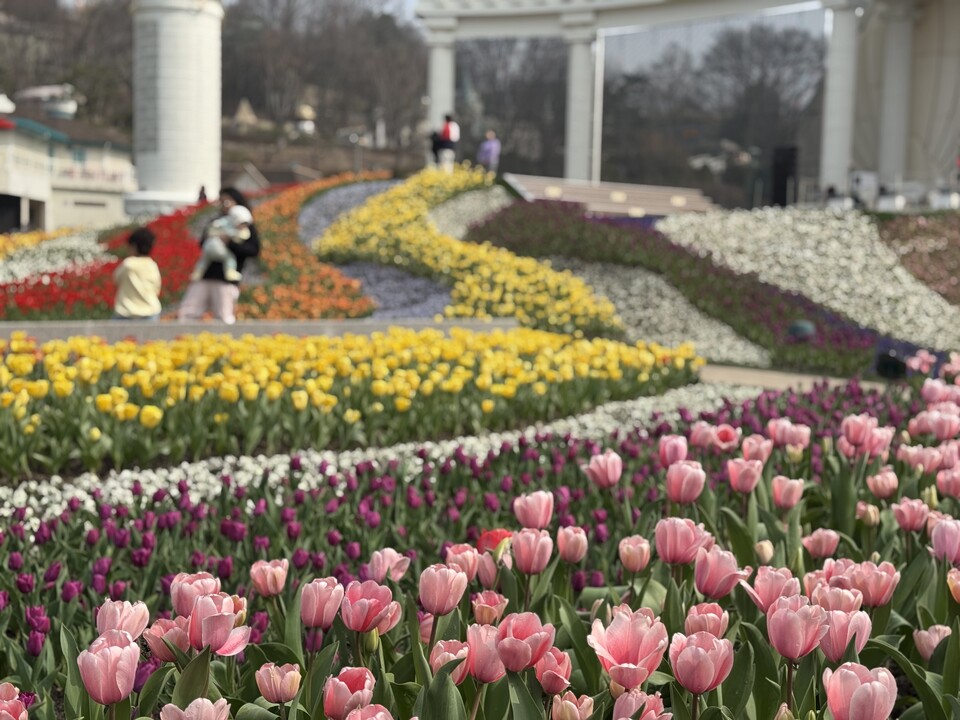 30일 월요일 수도권(인천, 경기 등) 지역은 대체로 흐린 가운데, 저녁부터 인천과 경기남부를 중심으로 비가 시작돼 늦은 밤 수도권 대부분 지역으로 확대되겠다. (사진=중앙신문 DB)