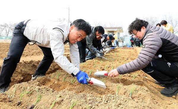 인천 남동구가 도심 속 자연 체험을 할 수 있는 ‘공공주말농장’이 정식 개장했다. (사진제공=남동구)