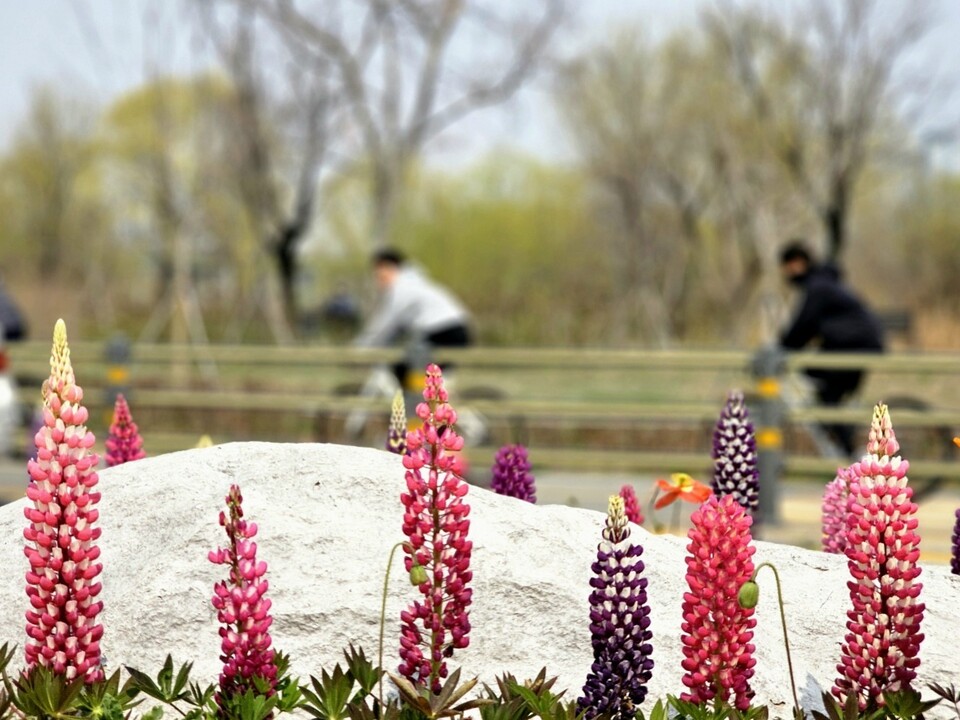 4월의 첫날인 1일 수요일 수도권 지역은 구름 많은 가운데, 새벽부터 아침 사이 안개가 끼며 출근길 교통안전에 유의해야 한다. 경기동부에는 오후 한때 빗방울이 떨어지는 곳이 있겠다. (사진=김광섭 기자)