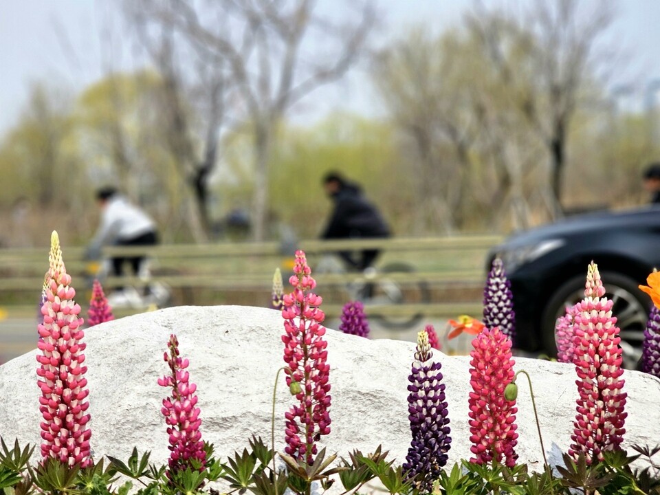 2일 목요일 수도권(인천, 경기 등) 지역은 낮과 밤의 기온차가 크게 벌어지겠고, 대체로 맑은 날씨를 보이겠다. (사진=중앙신문 DB)