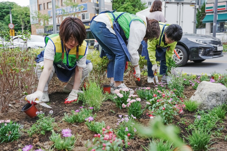 국제로타리 3750지구 수원지역 클럽 회원들이 2023년 5월 인계동에 손바닥정원을 조성하고 있다. (사진제공=수원시)