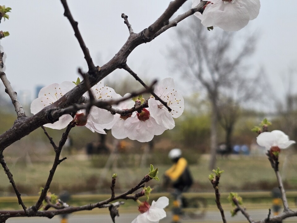3일 금요일 수도권 지역은 대체로 맑다가 오후부터 구름이 많아지겠고, 밤 늦게 경기남부를 시작으로 비가 내리겠다. 인천과 경기서해안을 중심으로 짙은 안개가 예상돼 출근길 교통 안전에 각별한 주의가 필요하다. (사진=김광섭 기자)
